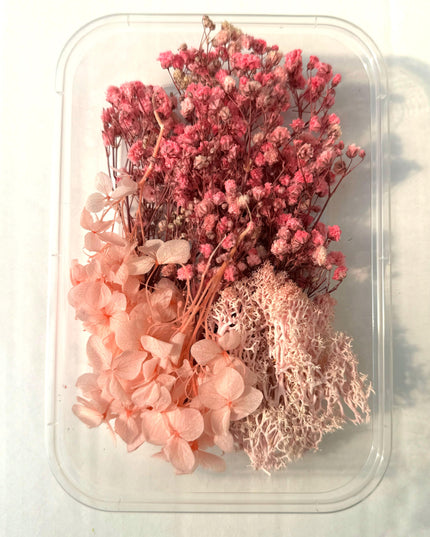 Flori uscate caserola 17