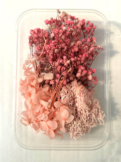 Flori uscate caserola 17