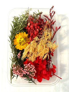 Flori uscate caserola 19