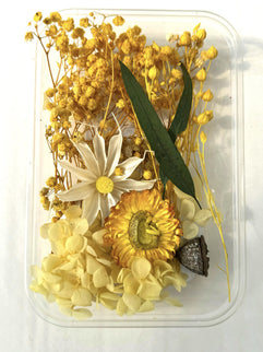 Flori uscate caserola 21