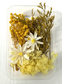 Flori uscate caserola 22