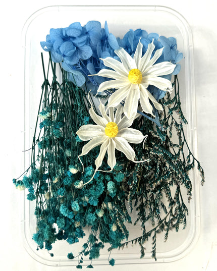 Flori uscate caserola 23