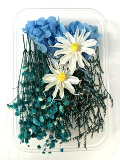 Flori uscate caserola 23