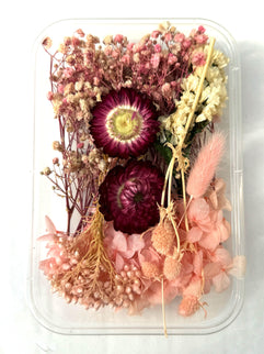 Flori uscate caserola 25