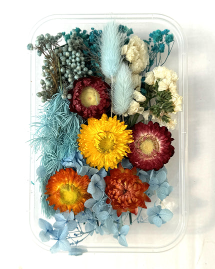 Flori uscate caserola 26