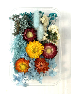 Flori uscate caserola 26