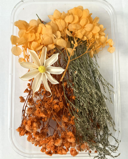 Flori uscate caserola 27