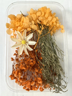 Flori uscate caserola 27