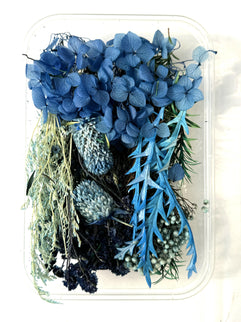 Flori uscate caserola 29