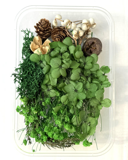 Flori uscate caserola 30