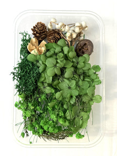 Flori uscate caserola 30