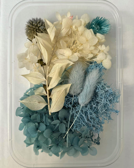 Flori uscate caserola 31