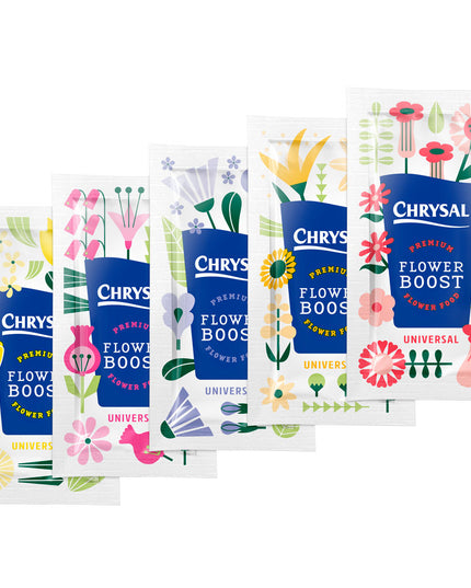 Ingrijire plic chrysal clear