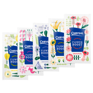 Ingrijire plic chrysal clear