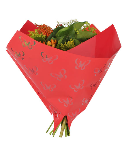 Sleeve 35x35cm clear butterfly red