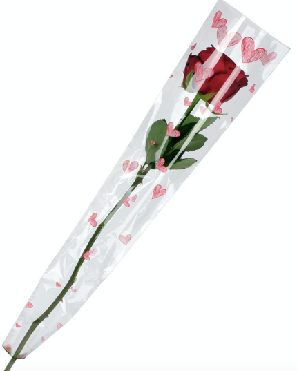 Sleeve 65x13x3cm S/50 inimioara (ambalaj 1 fir)