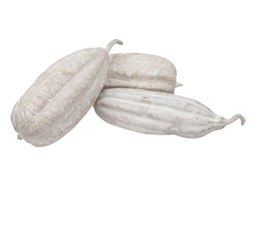 Decor fruct exotic S/10 alb