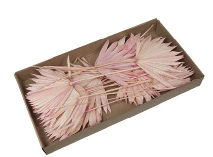 Frunze palmier S/20 roz