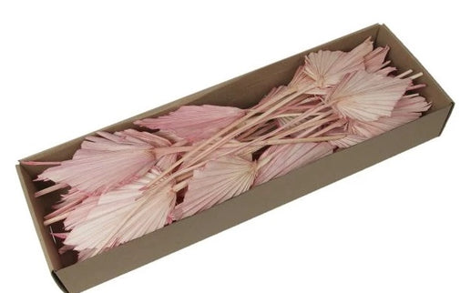 Frunze palmier S/25 roz