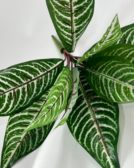 Verdeata artificiala Aphelandra verde-rosu (33cm)