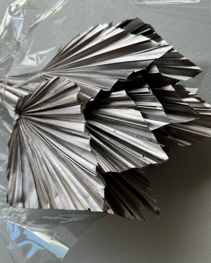 Frunze uscate palmier S/10 argintiu