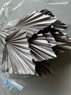 Frunze uscate palmier S/10 argintiu