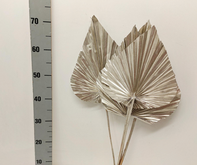 Frunze uscate palmier S/5 50cm auriu-argintiu