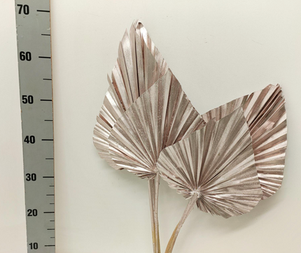 Frunze uscate palmier S/5 50cm cupru