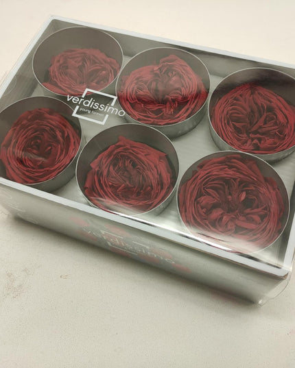 Trandafir criogenat garden Ø5.5-6CM rosu