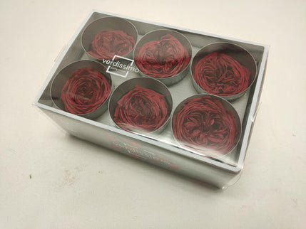 Trandafir criogenat garden Ø5.5-6CM rosu