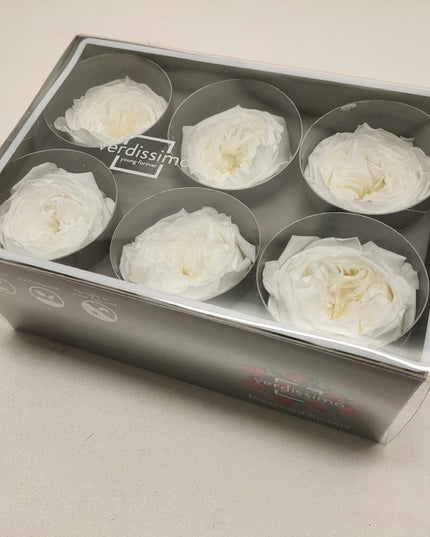 Trandafir criogenat garden Ø5-6CM ALB