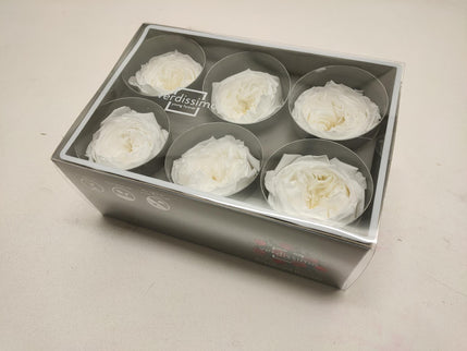 Trandafir criogenat garden Ø5-6CM ALB