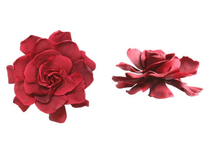 Gardenia criogenata Ø7-9cm S/3 burgundy