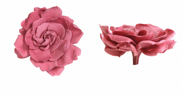 Gardenia criogenata Ø7-9cm S/3 cherry blossom