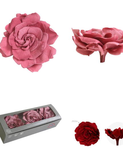 Gardenia criogenata S/3 cranberry  Ø4-6cm