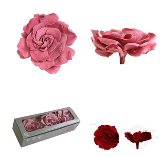 Gardenia criogenata S/3 cranberry  Ø4-6cm