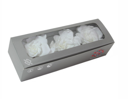 Gardenia criogenata Ø7-9cm S/3 alba