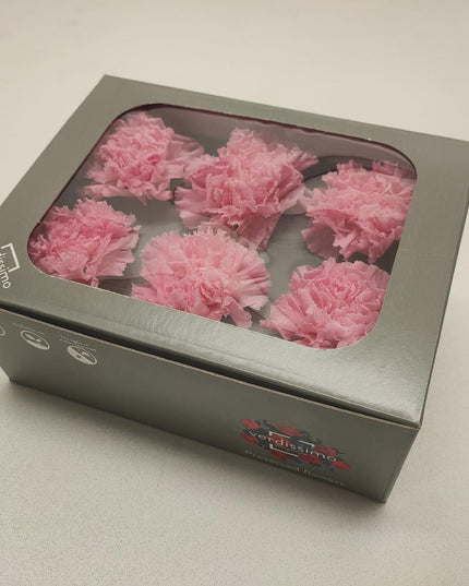 Garoafe criogenate Ø5cm S/6 roz