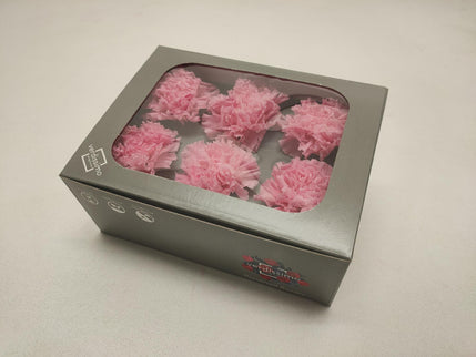 Garoafe criogenate Ø5cm S/6 roz