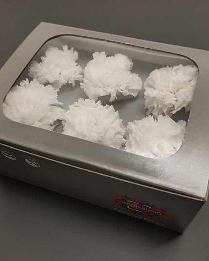 Garoafe criogenate Ø5cm S/6 alb