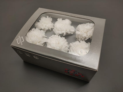 Garoafe criogenate Ø5cm S/6 alb