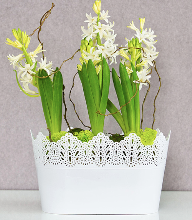 Ghiveci plastic koronka oval Ø27cm alb