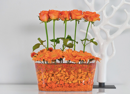 GHIVECI PLASTIC OVAL TRANSPARENT 27CM portocaliu