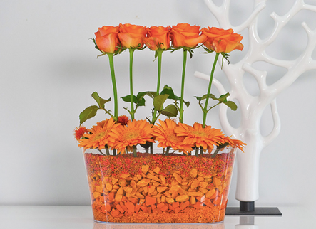 GHIVECI PLASTIC OVAL TRANSPARENT 27CM portocaliu