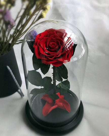 Cupola sticla 10x19cm blat negru