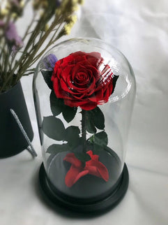 Cupola sticla 10x19cm blat negru