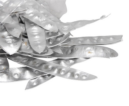 Decor gledichia argintiu S/50