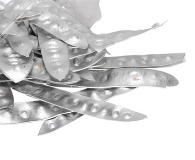 Decor gledichia argintiu S/50