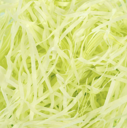 Hartie umplutura cadou 100g verde