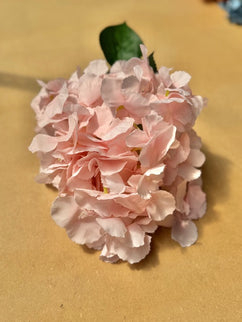Hortensia artificiala ⌀20cm roz nude
